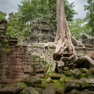 Unmasking History: 7 Hidden Truths That Change Everything